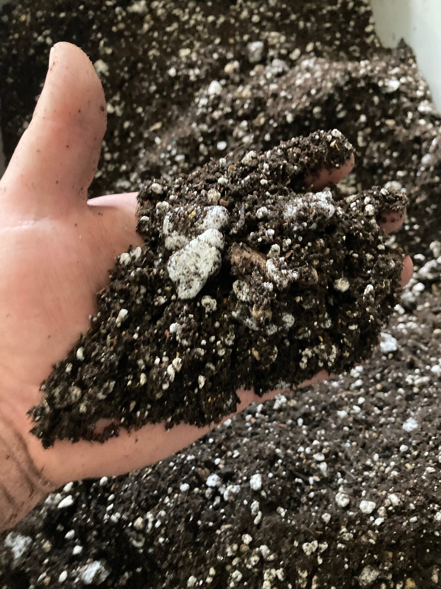 Autoflower Super Soil Recipe