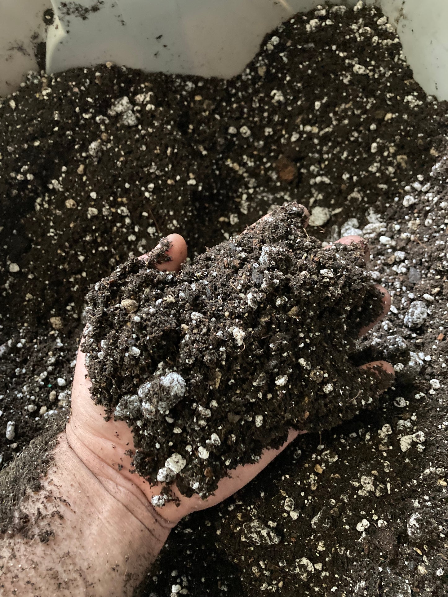 Autoflower Super Soil Recipe