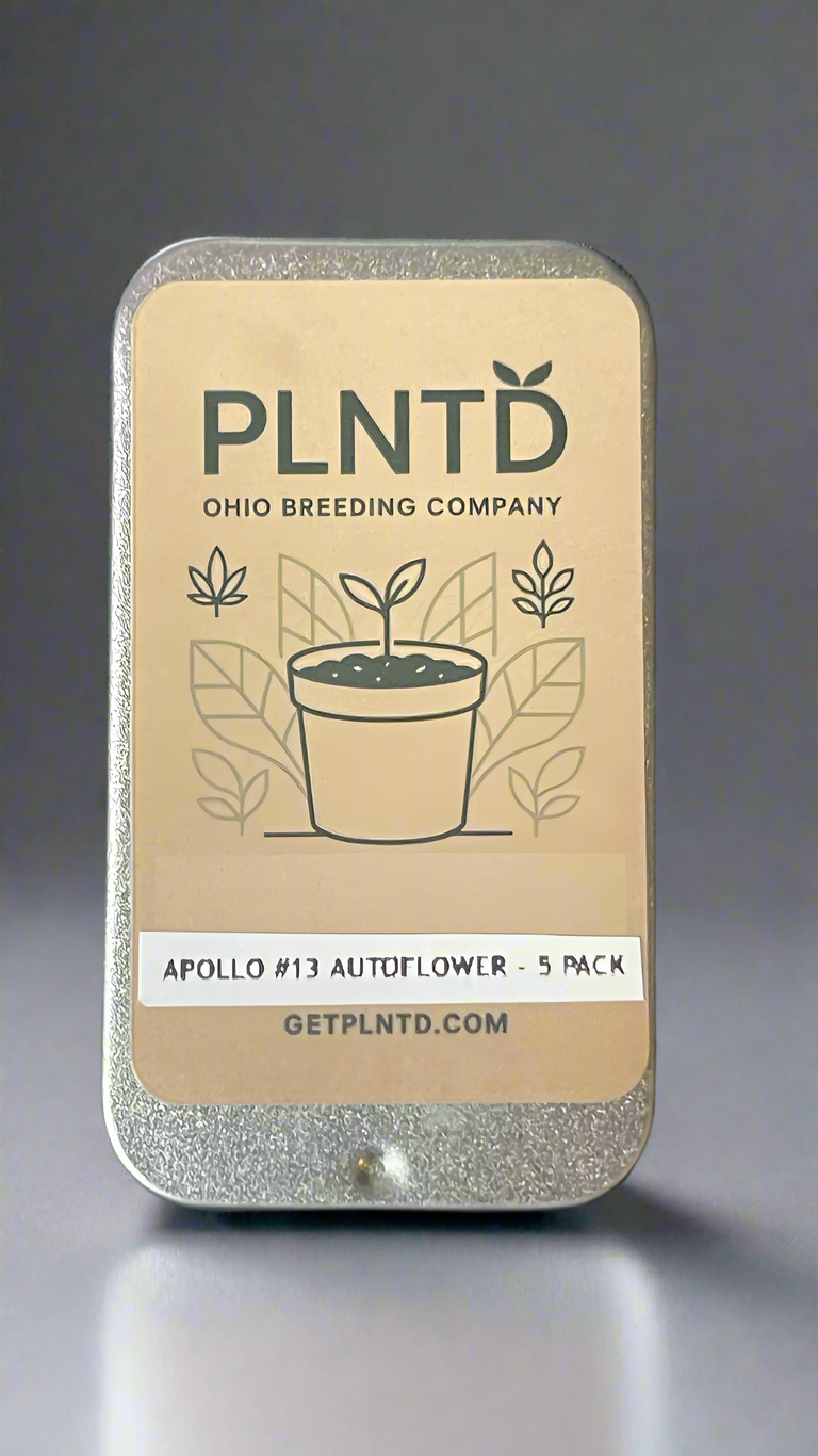 Apollo #13 Autoflower (F)