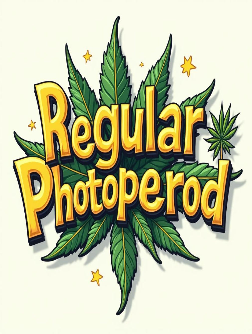 Regular Photoperiod Seeds (R) - 10 pack