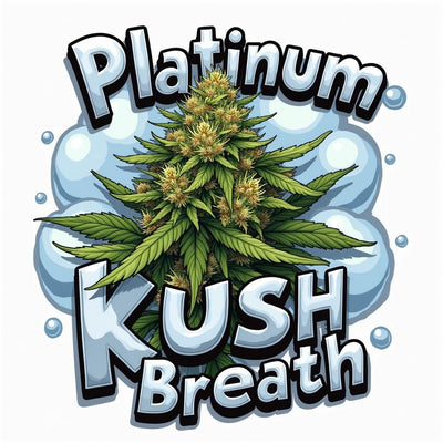Platinum Kush Breath Autoflower Kit (NEW)