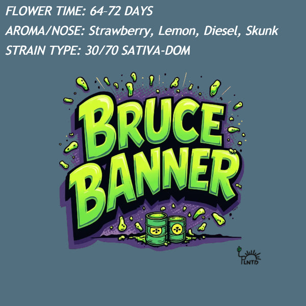 Bruce Banner Remake Autoflower Kit (NEW)
