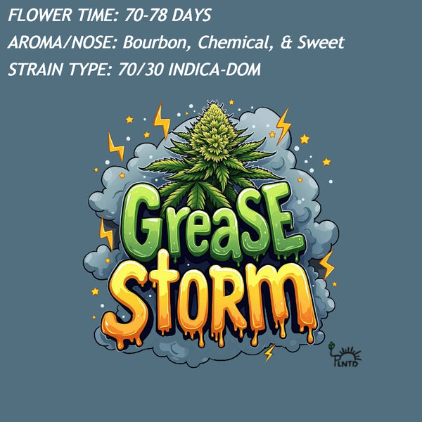 Grease Storm Autoflower Kit