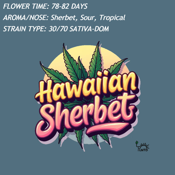Hawaiian Sherbet Autoflower Kit