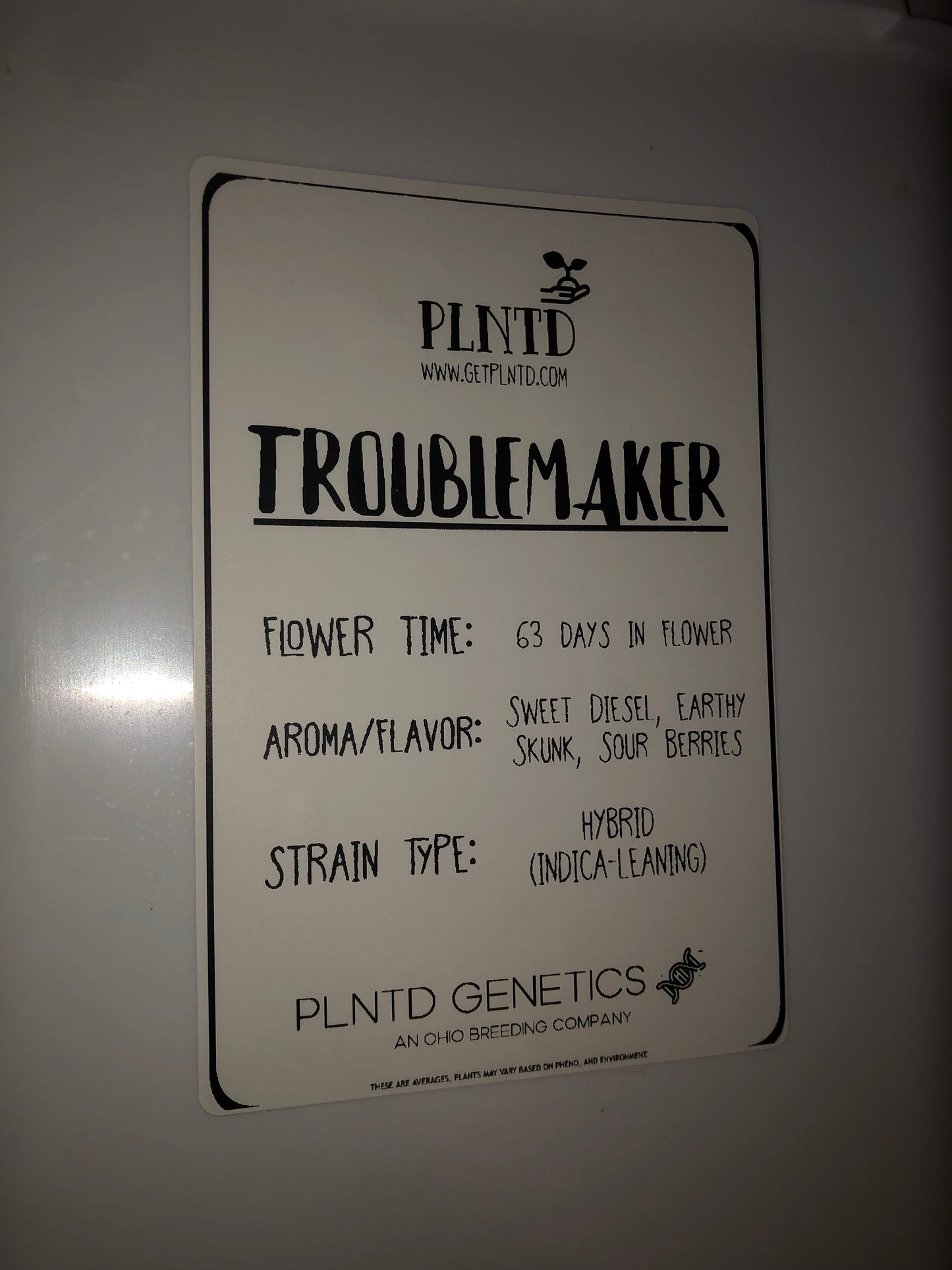 Troublemaker Autoflower Kit