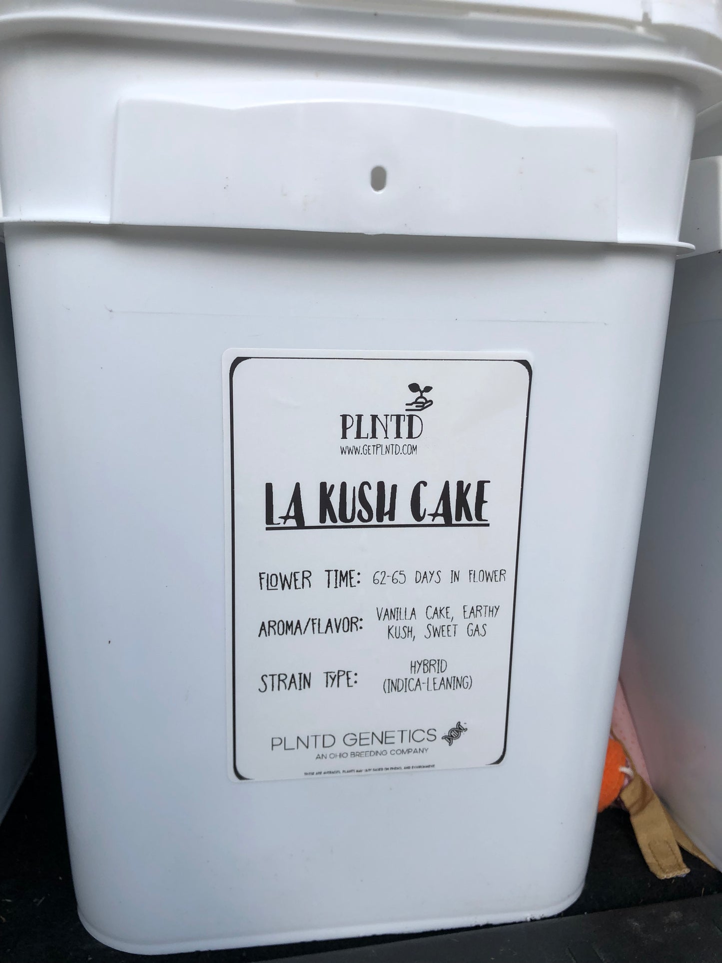LA Kush Cake Remake Autoflower Kit