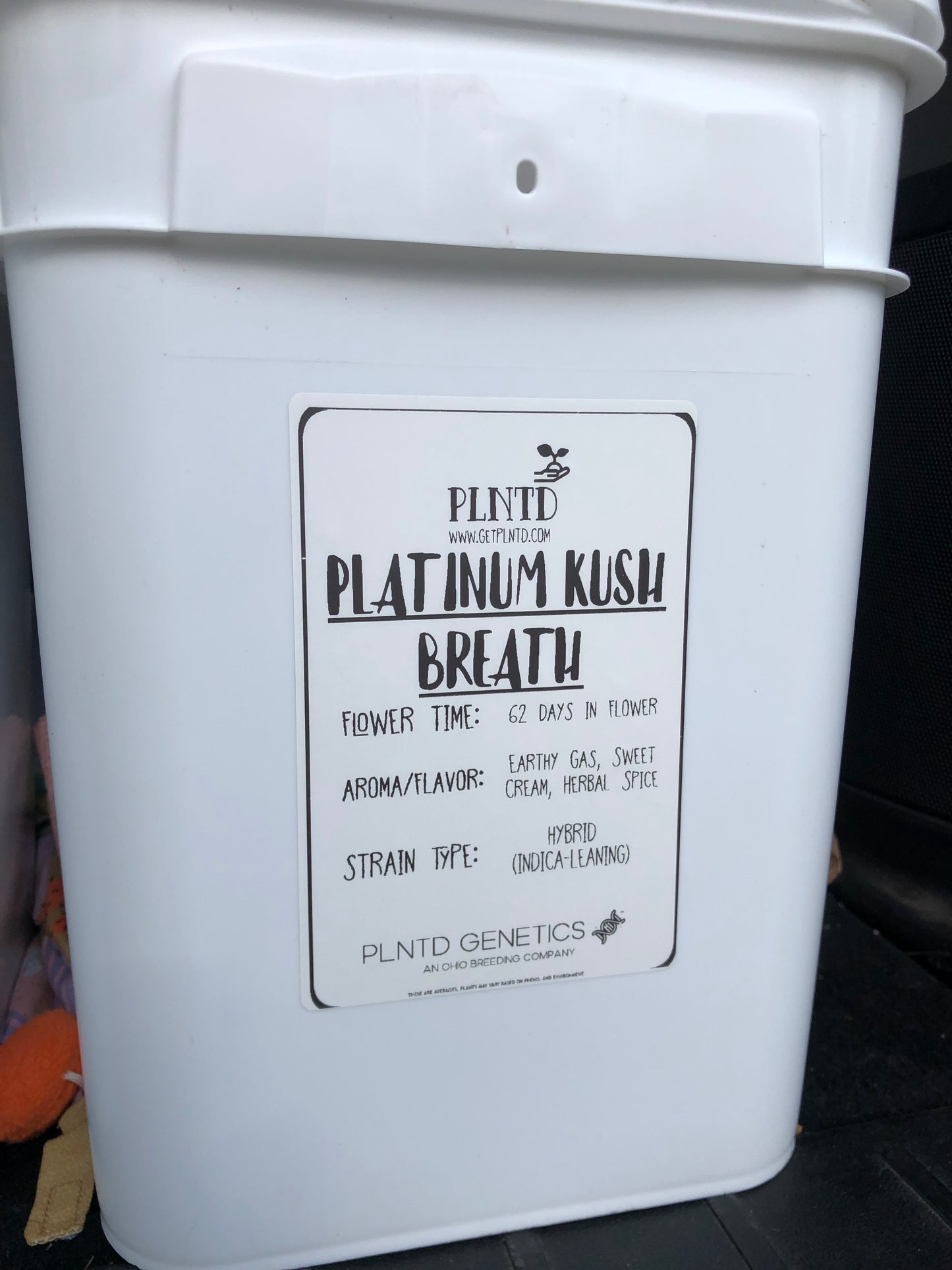 Platinum Kush Breath Autoflower Kit (NEW)