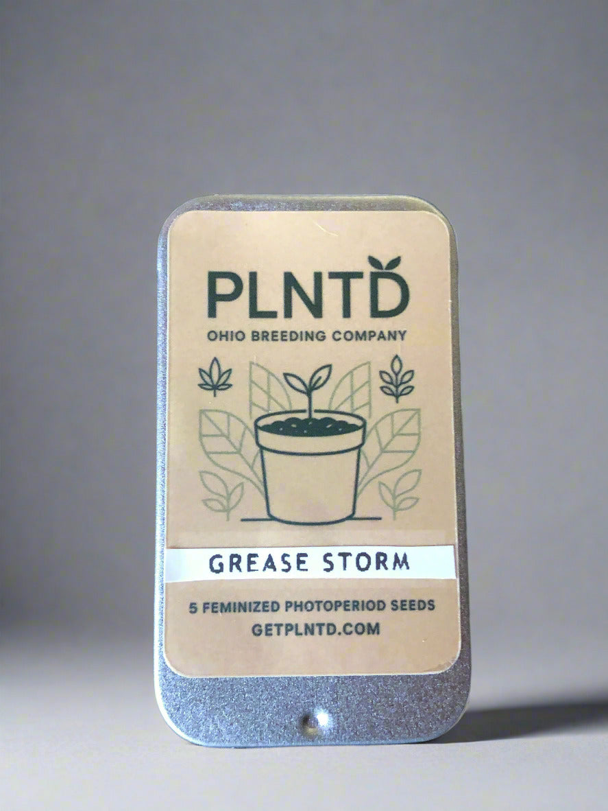 Grease Storm - Photo (F)