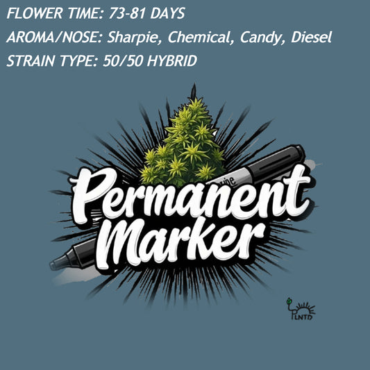 Permanent Marker Remake Autoflower Kit (NEW)