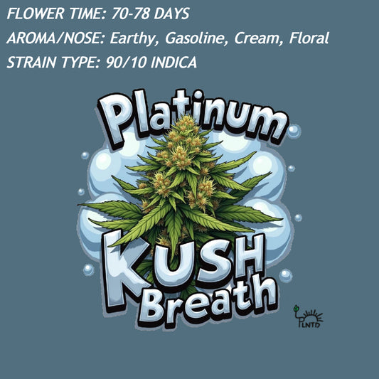 Platinum Kush Breath Autoflower Kit (NEW)