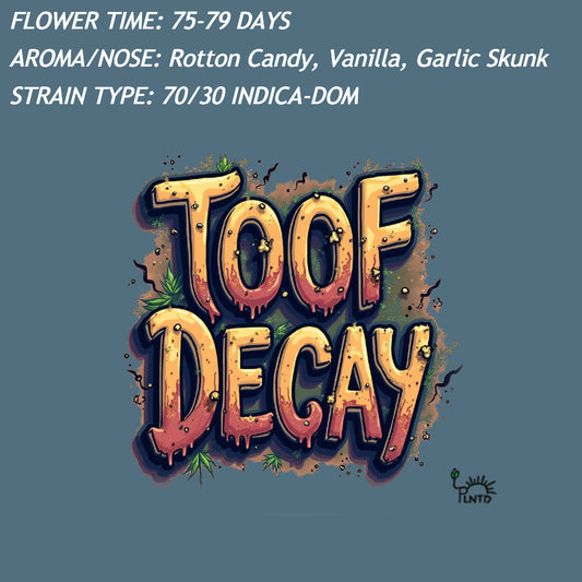 Toof Decay Autoflower Kit