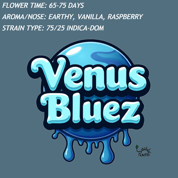 Venus Bluez Autoflower Kit (Limited Release)