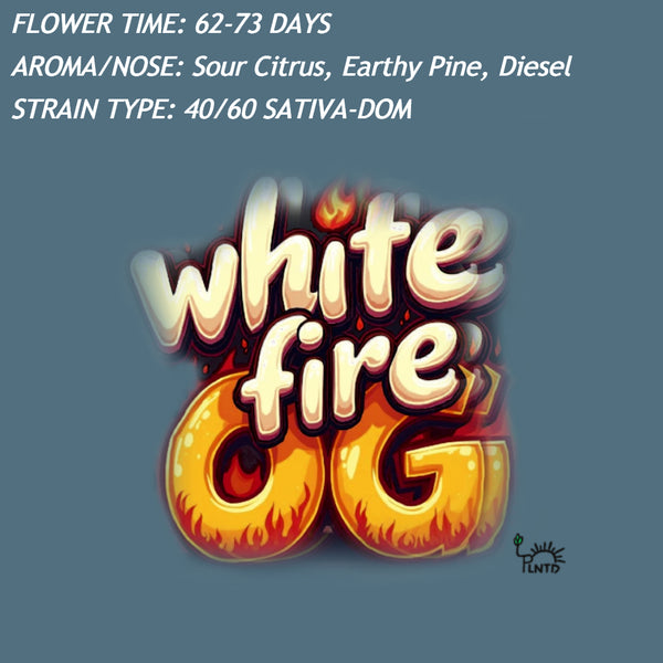 White Fire OG Remake Autoflower Kit (NEW)