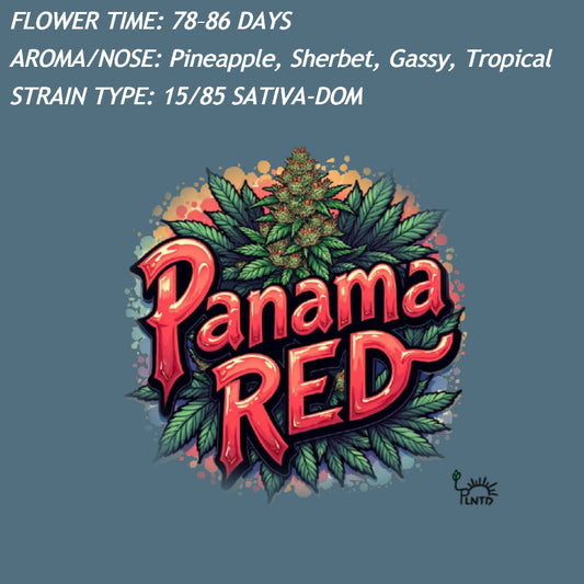 Panama Red Autoflower Kit (NEW)